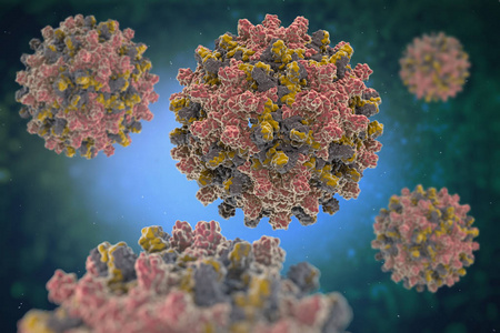 Hev IGM celeri Test: ducens via in Hepatitis E diagnosi