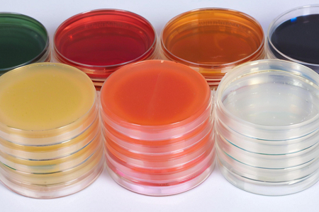 Unlocking in potentiale CIBUS Agar Medium enim microbiological testing