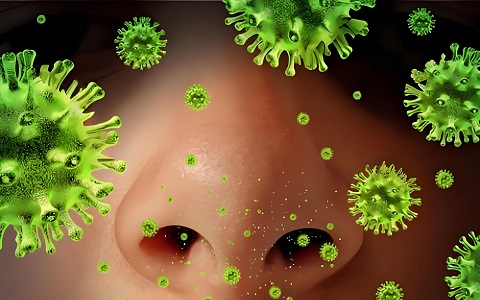 Celeri et accurate TB protegendo cum Babio tuberculosis IGG / IGM celeri deprehensionem ornamentum