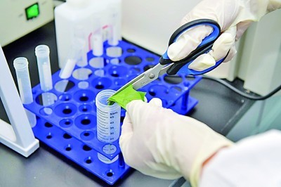 Reliable bacterial idem factum simplex cum Babio in Gram macula ornamentum