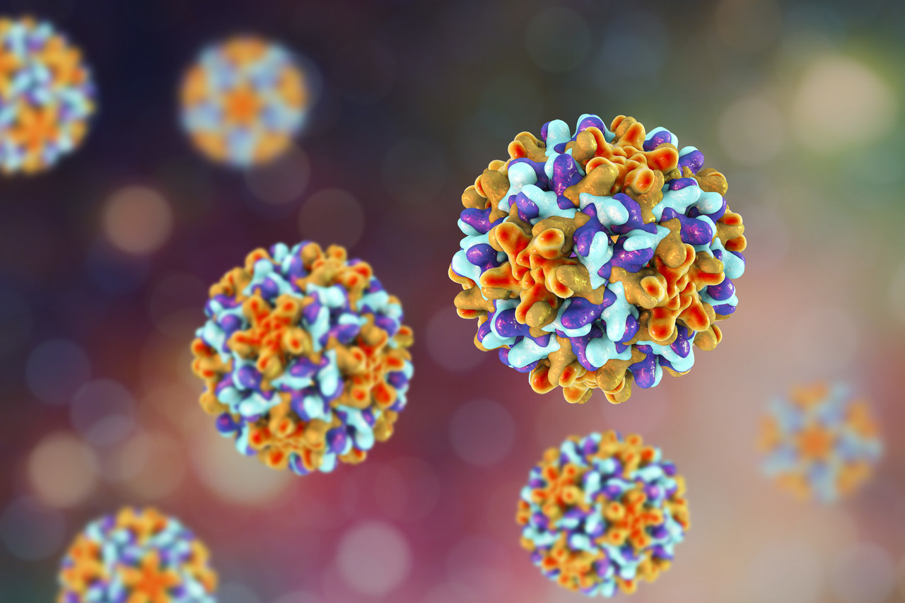 Babio launches princeps-perficientur adenovirus antigen deprehendatur ornamentum ad occursum global diagnostic postulat