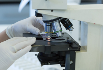 Babio scriptor Liquid Amies Media: A Global Standard pro certa specimen turpis
