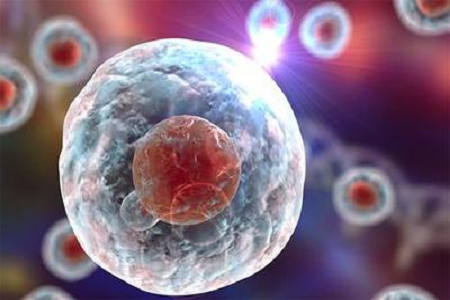 Babio launches ce-certified non-inactivated VTM ornamentum globally