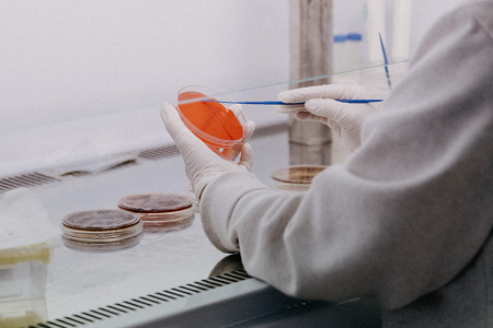 Babio introduces annuum dextroses Agar (USP) pro certo fingunt et fermento testis