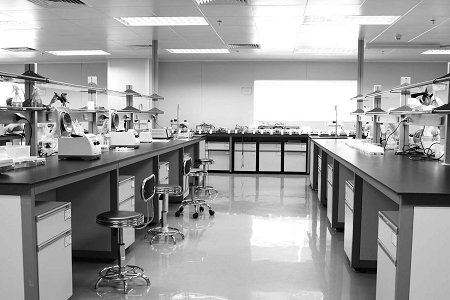 Babio Salmonella Shigella Agar: Reliable medium cibum salutem et orci Diagnostics