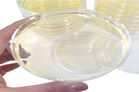 BABIO Launches High-Perficiendi R2A Agar Medium ad Environmental Microbial Cras