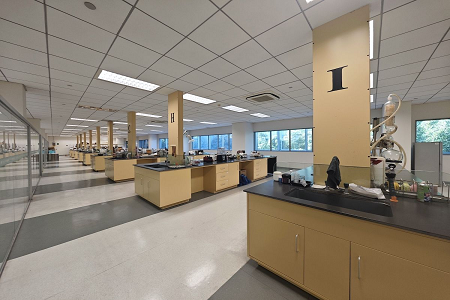 BABIO Provectus Sanguinis Culture Utrem ad confirma Global Infectio Diagnostics