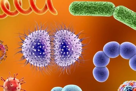 BABIO Launches Salmonella Shigella Enrichment Medium pro Reliable Enteric Pathogen Transport