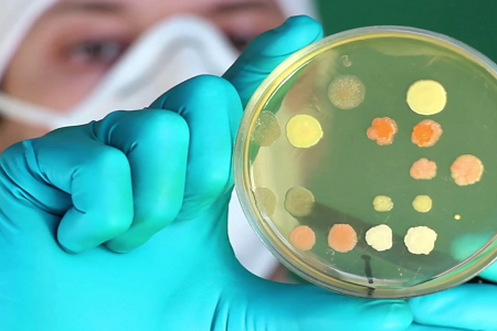 BABIO Launches Premium Trypticase Soy Broth (TSB) pro Global Clinical & Lab Microbiologiae