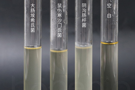 Babio Biotechnology Launches High-Perficiendi Cerebrum Cordis Infusionem Ius pro certo Microbial Culturing