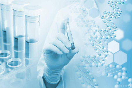 Agar Medium B (Casein Soya Bean Digest Agar) - A certa electio pro Microbial Culture