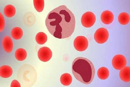 BABIO Inducit HBcAb Hepatitis B Core Ab Rapid Test for Global Markets