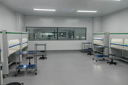 BABIO Sanguinis Culture Utres Auxilium Amplio Bloodstream Infectio Detection Efficiency