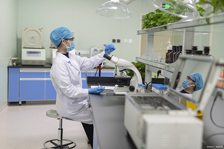 Buffered Peptone Water: A Reliable Satus pro Salmonella Testis